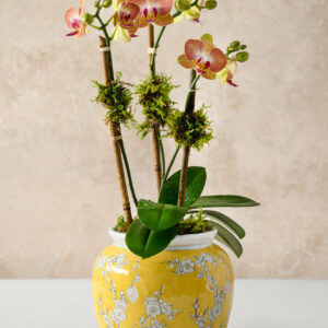 6in Tall Ming Safron Bell Ceramic Vase