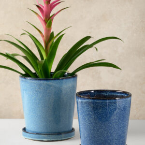 Ming Ceramic Pot with Saucer, Ice Blue